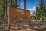 2875 Gold Creek Rd - Photo 75