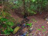 17461 Right Fork Rd - Photo 69