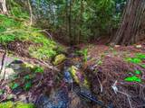 17461 Right Fork Rd - Photo 70