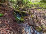 17461 Right Fork Rd - Photo 71