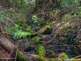 17461 Right Fork Rd - Photo 73