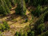 17461 Right Fork Rd - Photo 81