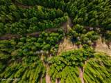 17461 Right Fork Rd - Photo 84