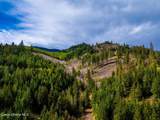 17461 Right Fork Rd - Photo 85
