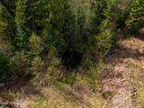 17461 Right Fork Rd - Photo 86