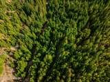 17461 Right Fork Rd - Photo 88