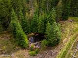 17461 Right Fork Rd - Photo 90