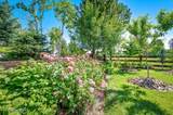 12844 Pebble Creek Dr - Photo 15