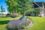 12844 Pebble Creek Dr - Photo 3