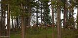 2447 Turner Hill Rd - Photo 2