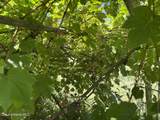 2447 Turner Hill Rd - Photo 87
