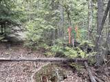 1094 Spirit Wolf Trl - Photo 17