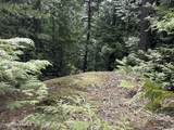 1094 Spirit Wolf Trl - Photo 19