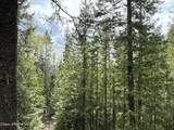1094 Spirit Wolf Trl - Photo 25