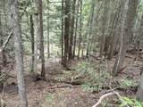 1094 Spirit Wolf Trl - Photo 28