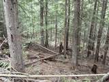 1094 Spirit Wolf Trl - Photo 29
