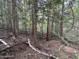 1094 Spirit Wolf Trl - Photo 30