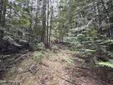 1094 Spirit Wolf Trl - Photo 32