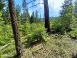 127 Coyote Trail - Photo 11