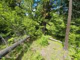 127 Coyote Trail - Photo 12