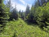 127 Coyote Trail - Photo 8