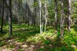 1599 Saddleback Dr - Photo 4