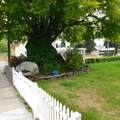 81 Cedar St - Photo 17