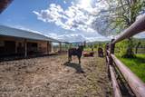 289 Gold Rd - Photo 10
