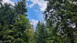 12787 Emerald Dr - Photo 51