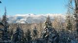 1196 Gold Creek Rd - Photo 52