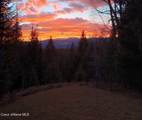 1196 Gold Creek Rd - Photo 8