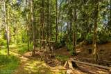 1103 Huckleberry Mountain Rd - Photo 44