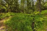 1103 Huckleberry Mountain Rd - Photo 46