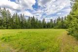 1103 Huckleberry Mountain Rd - Photo 47