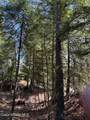 8213 Rapid Lightning Rd - Photo 17