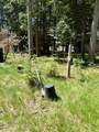 8213 Rapid Lightning Rd - Photo 19
