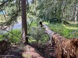 8213 Rapid Lightning Rd - Photo 31