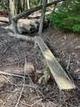 8213 Rapid Lightning Rd - Photo 36