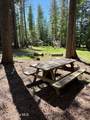 8213 Rapid Lightning Rd - Photo 37