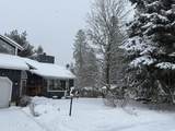 121 Linden St - Photo 67