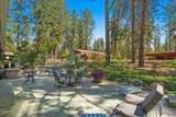 3506 Buckskin Rd - Photo 40