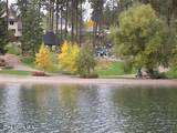 207 Harbor Park Ct - Photo 44