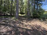 14226 Spirit Lake Shore - Photo 19