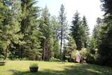 788 Gold Cup Mountain Rd - Photo 3