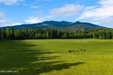 13962 Dufort Rd - Photo 47