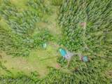 134 Dunn Creek Rd - Photo 50