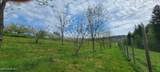 309 Pywell Rd - Photo 10