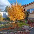 2068 Oxford Cir - Photo 45