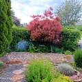 2068 Oxford Cir - Photo 46