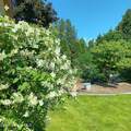 2068 Oxford Cir - Photo 47
